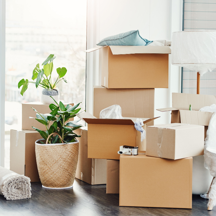 Moving Service in Buckeye, AZ
